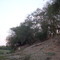 Cimanuk River 2