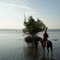 Horsing in Menjangan Beach