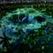 wonderful lake