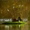 Natur Bird Pardise - Benoa Bali - by Dieter Behrens