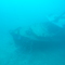 Wrack
