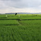 Bali landscape in 2009
