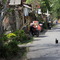 Bali in 2009