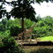 Safari Park - Prigen Zoo Garden