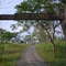 [the pines] entrance to pines forest