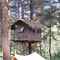 [The Pines] Rumah Pohon