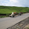 Tea field 1, Kayuaro