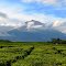 Kerinci Mountain