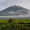 View dari depan HomeStay Pak Darmin