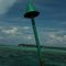 Green Marker