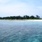 Java - Karimunjawa - Cemara Besar