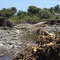 Broken Bridge, Lewoleba