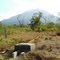 Ile Ape Mountain from Petuntawa Village, Lembata