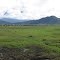 Alam kab. dogiyai
