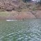 Sailing on the reservoir