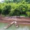Bamboo Boat