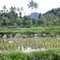 Gunung Talang from Talang