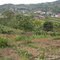 The City of Bukit Sileh