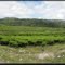 <=Padang +++ Alahan Panjang=>