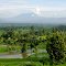 Rice Field with Mount Merapi on The Background