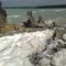 Laut mati Rote