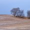 After the Harvest, near St. Bonifacius, Minnesota