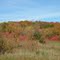 Sep 2006 - Victoria, Minnesota. Fall colors in Carver Park Reserve.
