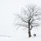 Winter Tire Swing - Dahlgren, MN - February 13th, 2010