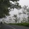 Pancasari road in the fog