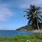 Gosowong Harbour