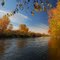 Boise River 2 (Autumn)