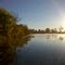 Morning on the Pond