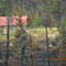 The Caribou Hills fire in summer 2007 near Ninilchik Alaska came AWFULLY close to taking out this cabin!