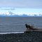 Cook Inlet and Redoubt Volcano from Deep Creek