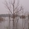 cedar creek lake near Stanford,Ky