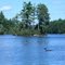 Loon off Hodgdon Island