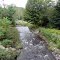 Bond Brook
