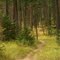 English Pt. Hiking Trail