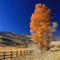 At Bear Lake near the Idaho Line  ...10.24.07*