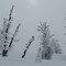 Brundage