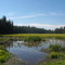 Near Payette Lake