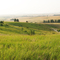 Idaho Palouse