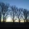 Winter Sunrise in the Blackfoot Countryside
