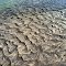 Sand in Snake River
