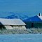 Old Homestead