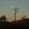 Moon over Nature Preserve