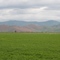 Alfalfa fields near Picabo, Idaho