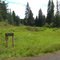 Fork in the road, near Slim Creek