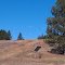 Along Ditch Creek
