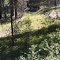 trail